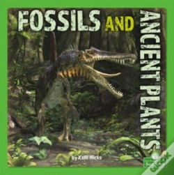 Capa do artigo Fossils And Ancient Plants