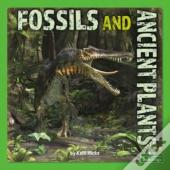 Fossils And Ancient Plants