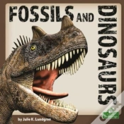 Capa do artigo Fossils And Dinosaurs