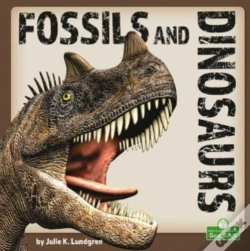 Capa do artigo Fossils And Dinosaurs