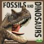 Fossils And Dinosaurs - Preview