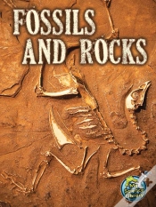 Capa do artigo Fossils And Rocks