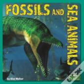 Fossils And Sea Animals