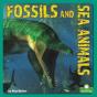Fossils And Sea Animals - Preview