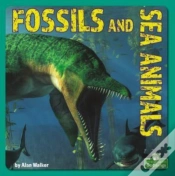 Capa do artigo Fossils And Sea Animals