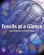 Fossils At A Glance - Preview