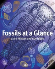 Capa do artigo Fossils At A Glance