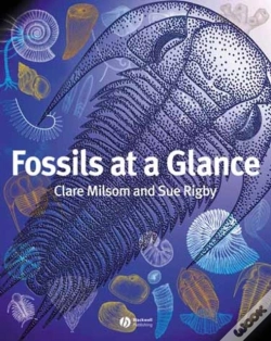 Capa do artigo Fossils At A Glance