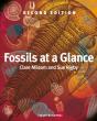 Fossils At A Glance - Preview