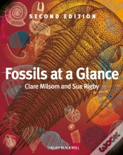 Capa do artigo Fossils At A Glance