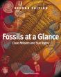 Fossils At A Glance - Preview