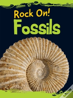Capa do artigo Fossils
