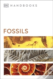 Capa do artigo Fossils