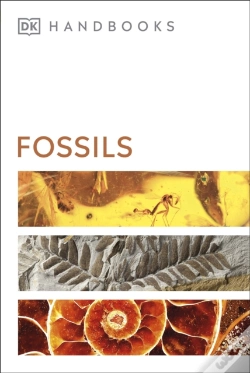 Capa do artigo Fossils