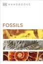Fossils - Preview