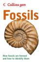 Fossils - Preview
