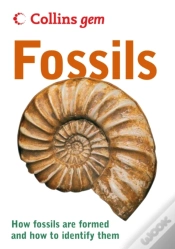 Capa do artigo Fossils