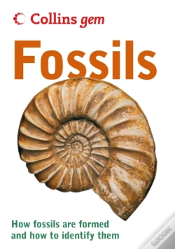 Capa do artigo Fossils