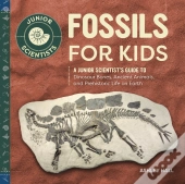 Fossils For Kids