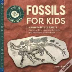 Capa do artigo Fossils For Kids