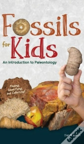 Fossils For Kids