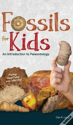Capa do artigo Fossils For Kids