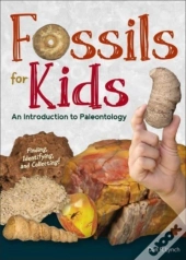 Fossils For Kids