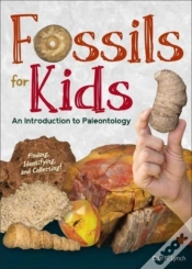 Capa do artigo Fossils For Kids