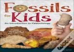 Fossils For Kids