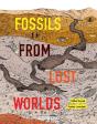 Fossils From Lost Worlds - Preview