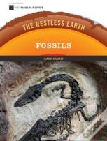 Fossils