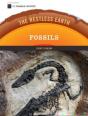 Fossils - Preview