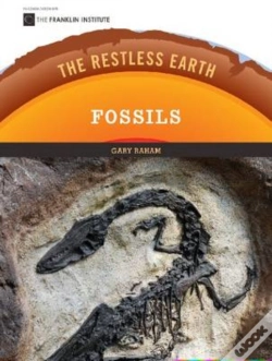 Capa do artigo Fossils