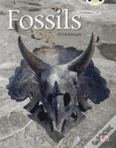 Fossils (Gold A ) 6-Pacg