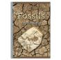Fossils - Preview