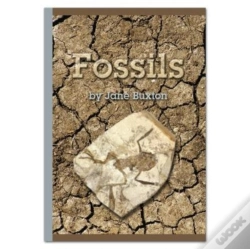 Capa do artigo Fossils