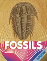 Fossils