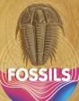 Fossils - Preview
