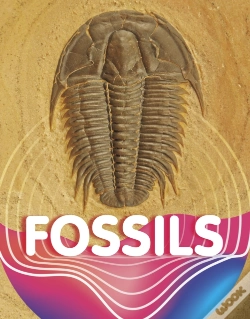 Capa do artigo Fossils
