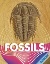 Fossils