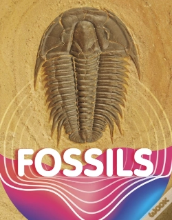 Capa do artigo Fossils