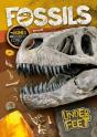 Fossils - Preview