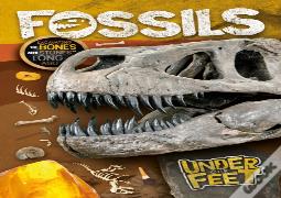 Fossils