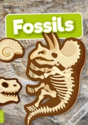 Capa do artigo Fossils