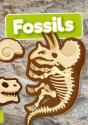 Fossils - Preview