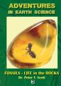 Fossils- Life In The Rocks - Preview