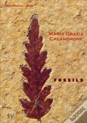 Capa do artigo Fossils