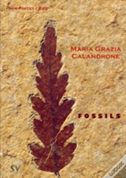 Capa do artigo Fossils
