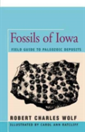 Fossils Of Iowa