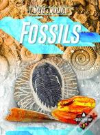 Fossils